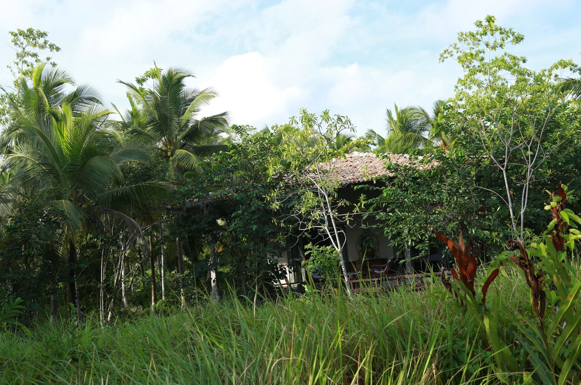 Ginganga Lodge Galle Extérieur photo